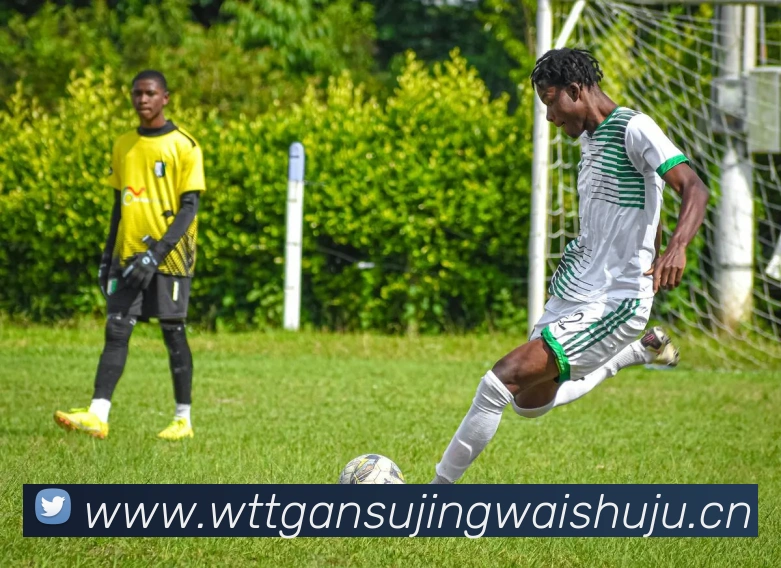 米兰官网入口发展历程